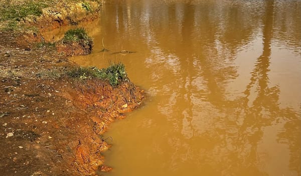 HONEST IGNORANCE: Music for Learning You Know Nothing