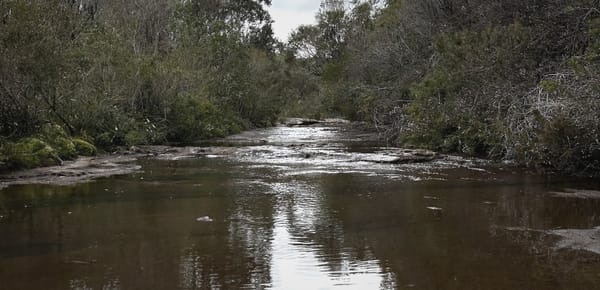 Flux State: The Episode 2 Playlist Explained